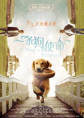 av自拍一区